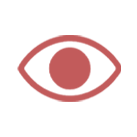 Visual Perception